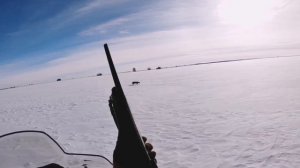 Охота на лис на снегоходе! Регулирование численности лис в охотхозяйстве.