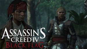 Нападение тамплиеров. Assassin’s Creed IV: Black Flag #22.