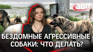 Как справиться с агрессией бродячих собак? Отстрел - не выход! Мнение эксперта