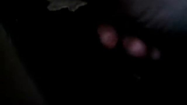 Angulas de monte, última visita al pinar, 5-febrero-2016 смотреть онлайн