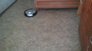 Как убирает робот пылесос?  Игрушка или помощник??