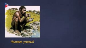 8 класс - Биология - Происхождение современного человека