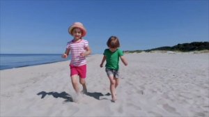 beehive1-culture-video-unit-4