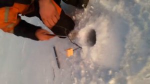 Рыбалка на рыбу Палия. Мурманская область.