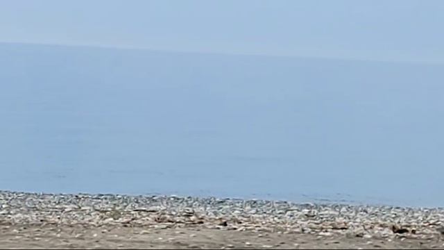 Рыбалка Абхазия