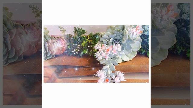 King mosaic coleus leaves never get old #coleus #kongmosaic #leavesonlyleaves #instaplant #instaco смотреть онлайн