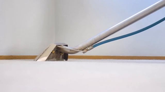 Most Referred Carpet Cleaners In Tarragindi | Back2New Cleaning | Carpet Steam Cleaning смотреть онлайн