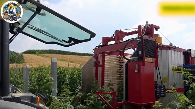 The Most Modern Agriculture Machines That Are At Another Level, How to harvest Cucumbers in farm▶37