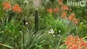 Central Texas Gardener: 10/10/09