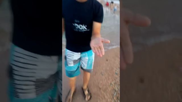 Должанская. Ловля бычка