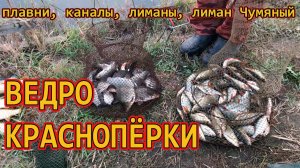 Поймали ведро краснопёрки /// Рыбалка на Кубани 2022 /// Выпуск № 28