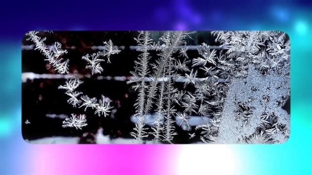 А вы тоже заметили, что морозные узоры на наших окнах просто исчезли. Куда они делись? смотреть онлайн