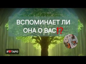 Вспоминает ли она о вас⁉️ расклад таро для мужчин