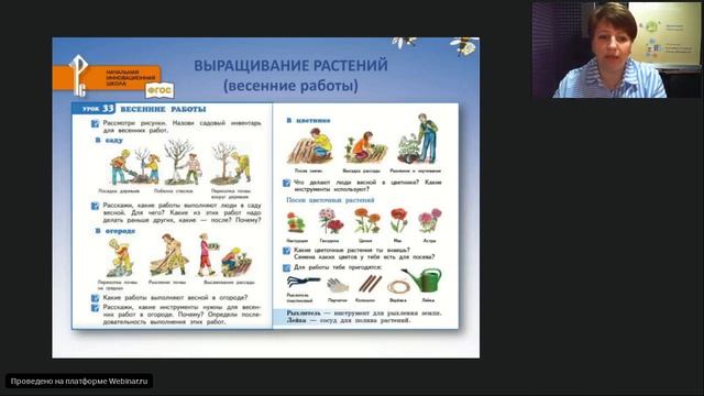 Что посеяли весной: учимся выращивать растения и ухаживать за ними