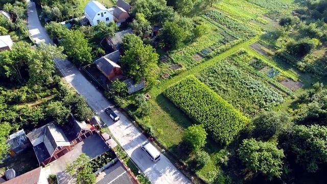 До Дня Героїв... Пісня "Журавлі" З репертуару Олени Білоконь
