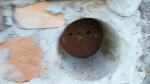 АККУМУЛЯТОР  ДОЖДЕВОЙ  ВОДЫ.