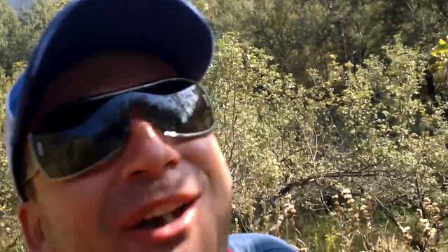 талгарская красавица... смотреть онлайн