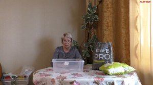 Почему и как правильно замачивать, когда сеять семена перца на рассаду