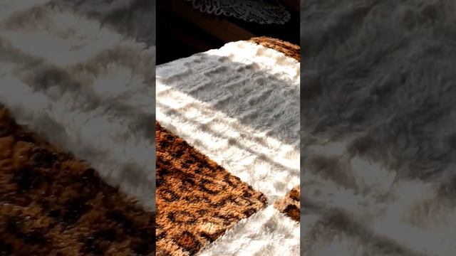 У животных,как у людей настроение бывает разным смотреть онлайн