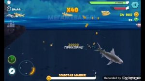 КУПИЛ БОЛЬШУЮ БЕЛУЮ АКУЛУ- HUNGRY SHARK EVOLUTION #5
