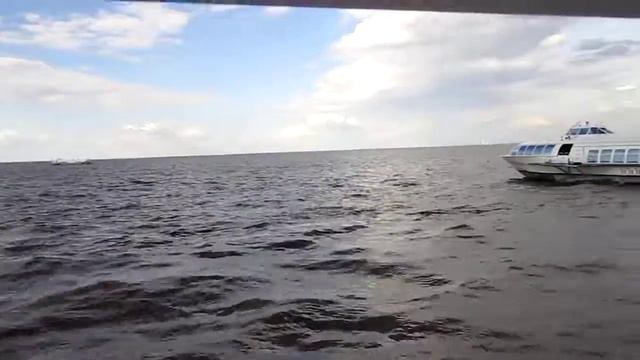 Водный транспорт  СПб
