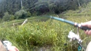 "Бойня" заброшенный лесной пруд  в Калужской области