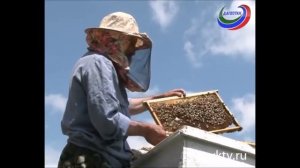 Последний житель Гамсутля