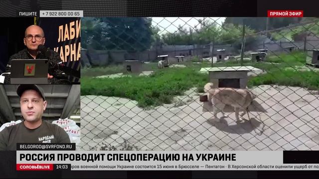 Представитель Народного фронта рассказал, что больше всего нужно жителям Белгородской области
