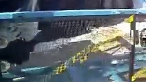 Стенд для проверки лестниц, поясов, когтей, лазов.