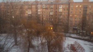 Птичка имитирует звуки авто сигнализации