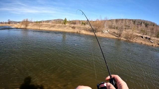Мормышинг. Как рыбе черный цвет?