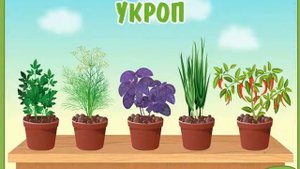 Развивающий мультик для детей Огород на подоконнике