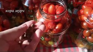 ПАМИДОРДАН БОНКА ЙОПИШ. ЙЕСАНГИЗ МАЗЗА КИЛАСИЗ.