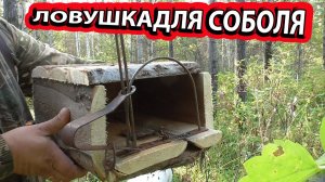 Установка капкана кд140 на соболя sable hunting