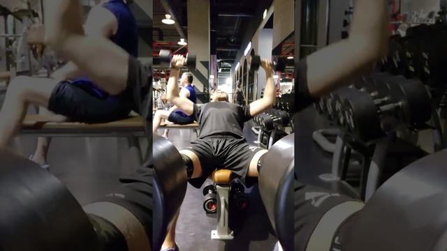 Ц6.Н2.Д2 жим гантелей 14 кг вид спереди смотреть онлайн