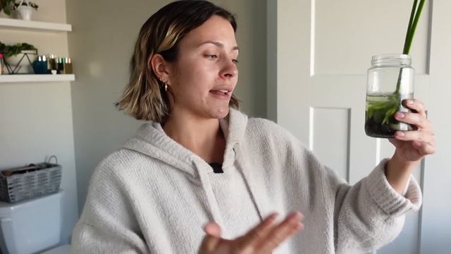 HOUSEPLANT CARE VLOG : My Plant Car Routine When Everything Needs Care at Once