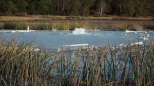 Что такое гейзер и как он образуется? И почему гейзеры и вулканы – друзья навеки?