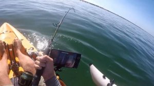 MONSTER Bull Shark Attacks Kayak