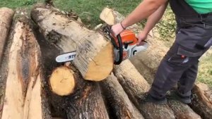 Stihl MS 241 C cutting firewood for the winter