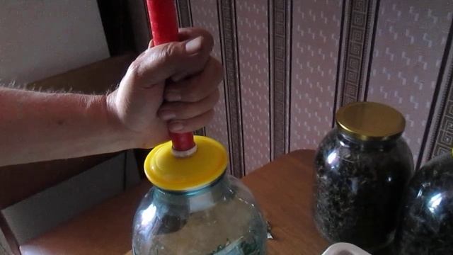 Ферментация листьев вишни,смородины,малины в вакууме для фруктового чая.