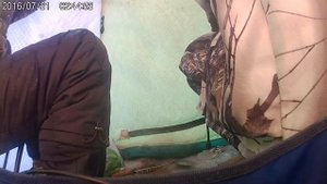 зимняя рыбалка на озере иртяш