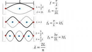 Física | Frecuencia fundamental y armónicos | Ondas estacionarias en una cuerda