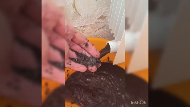 Устранение засора радиатора отопления смотреть онлайн