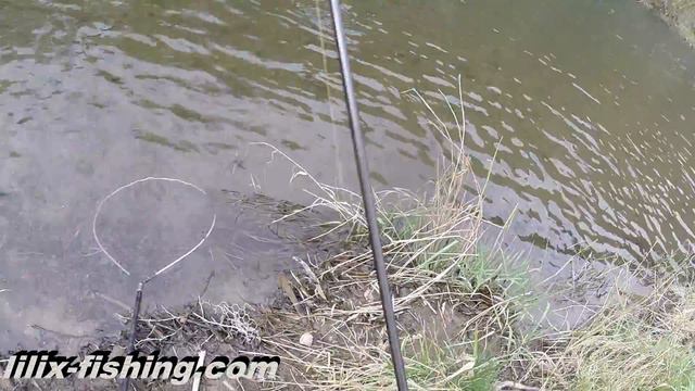 Форель на воблеры и не только (Рыбалка в Германии) смотреть онлайн