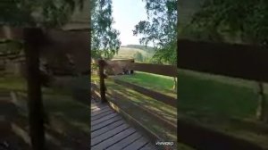 Парк дикой природы в п.Трудармейский