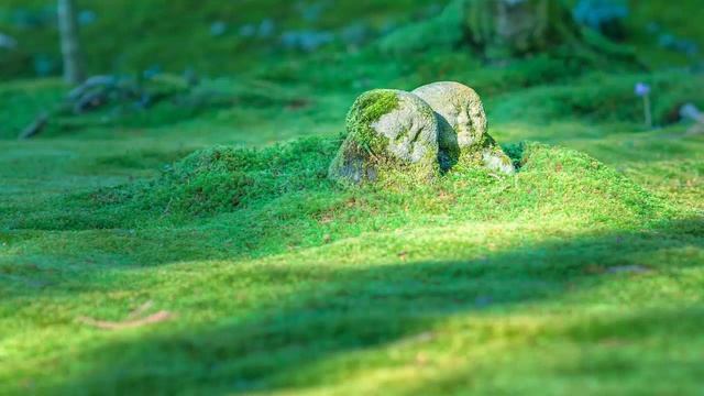 【Buddhism Music】Om Muni Muni Maha Muni Shakya Munaye Soha Sakyamuni Buddha Mantra 2 смотреть онлайн