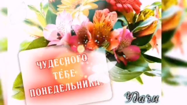 Лёгкого Понедельника!😉 Удачной рабочей недели!🤗 смотреть онлайн
