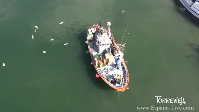 Видео про город Торревьеха Испания, достопримечательности, море, пляжи, отдых и путешествие