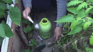 Защита от белокрылки