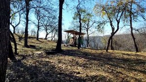 Arslanbob, largest wallnut forest | Kyrgyzstan wonders | Откуда грецкие орехи? Арсланбоб, Кыргызста